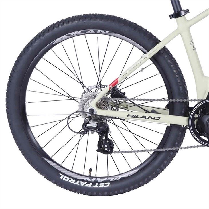 China Electric Mountain Bike wholesale