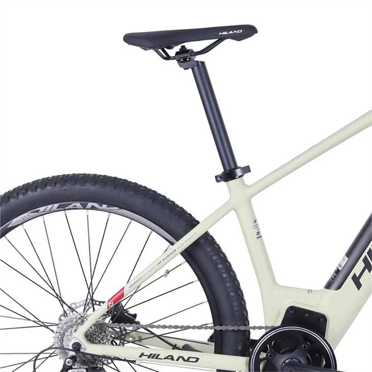Electric Mountain Bike wholesale