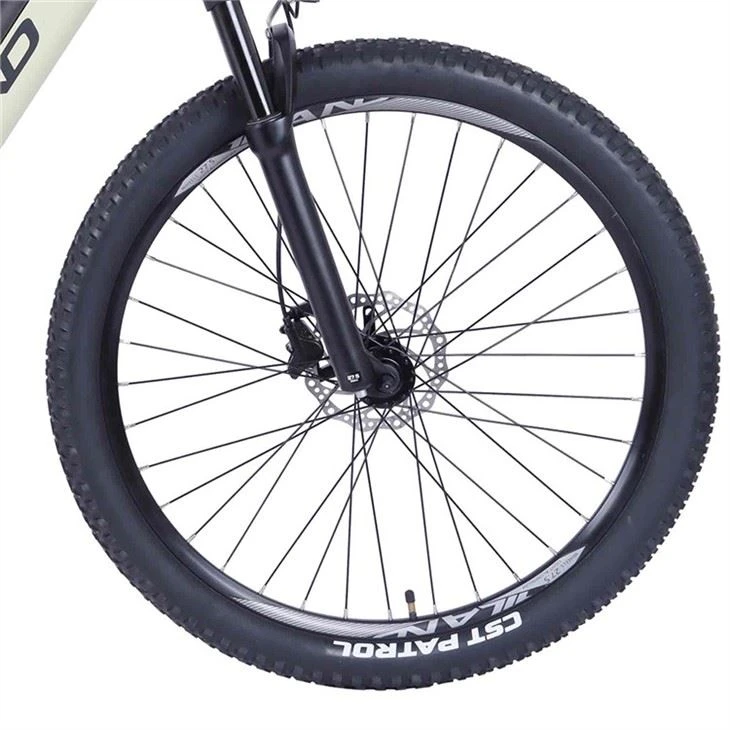 Electric Mountain Bike in China