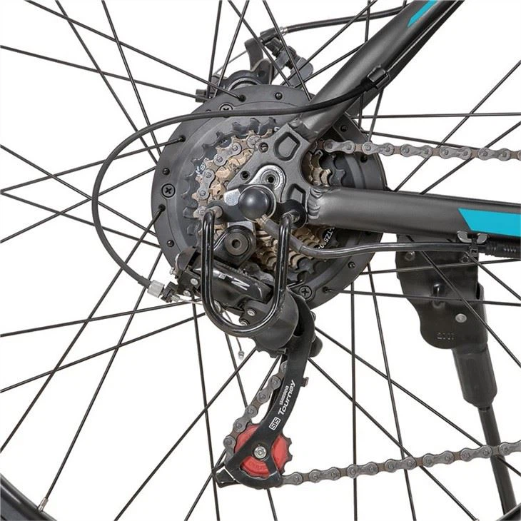 Electric Mountain Bike Pricelist