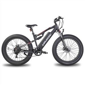 E-mtb Żewġ Roti Off Road Electric Mountain Bike